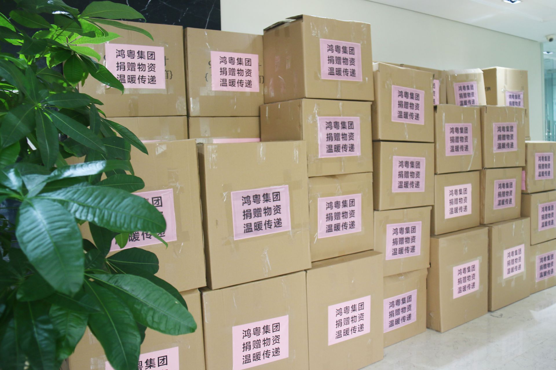 开云手机入口官网-开云online(中国)公益回顾丨家国同欢月同圆 温暖满载甘孜州(图1)